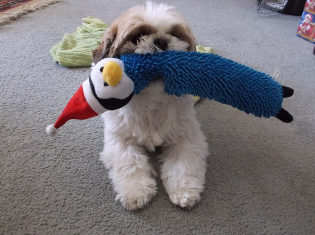 Rasta and Xmas toy 2013