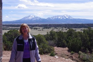 Laura 60th birthday party