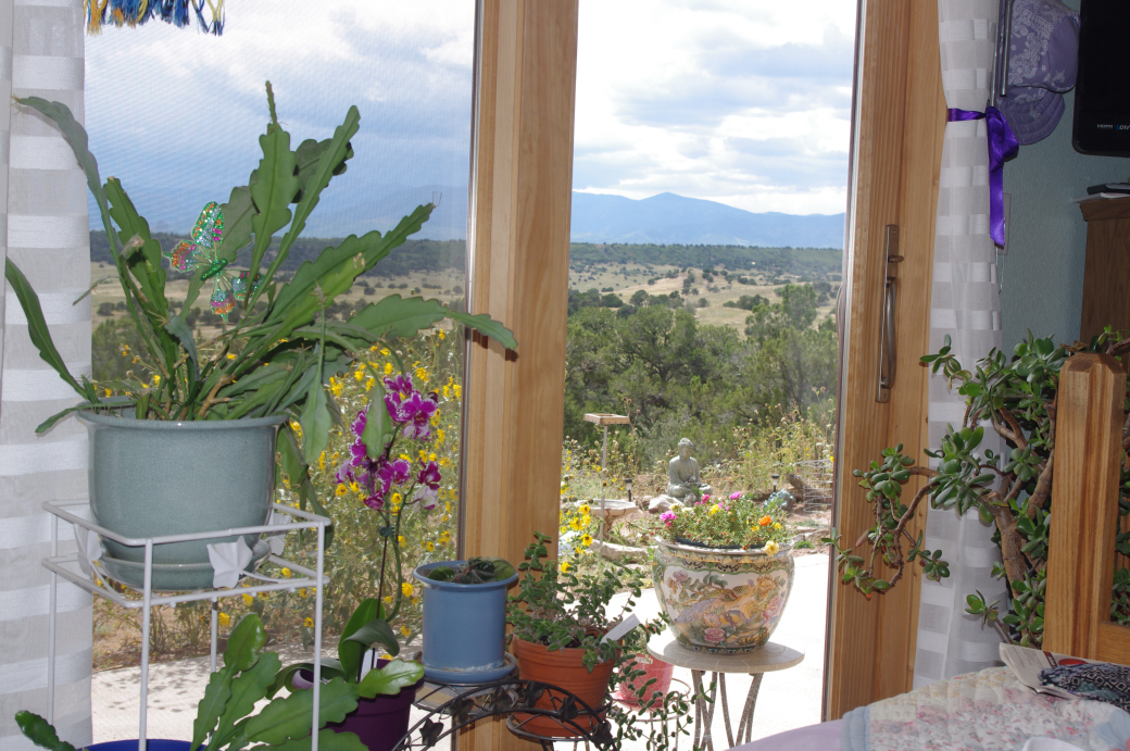 garden scene outside my bedroom door