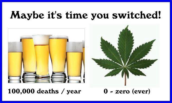 deaths from alcohol vs marijuana
