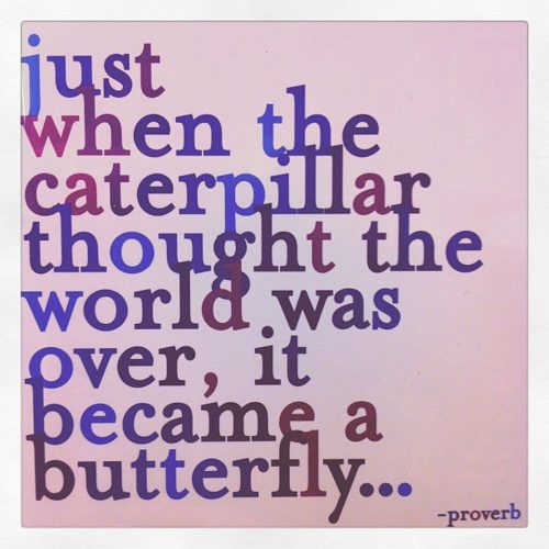 caterpillar butterfly quote