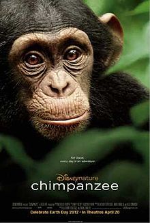 Chimpanzee 2012 film