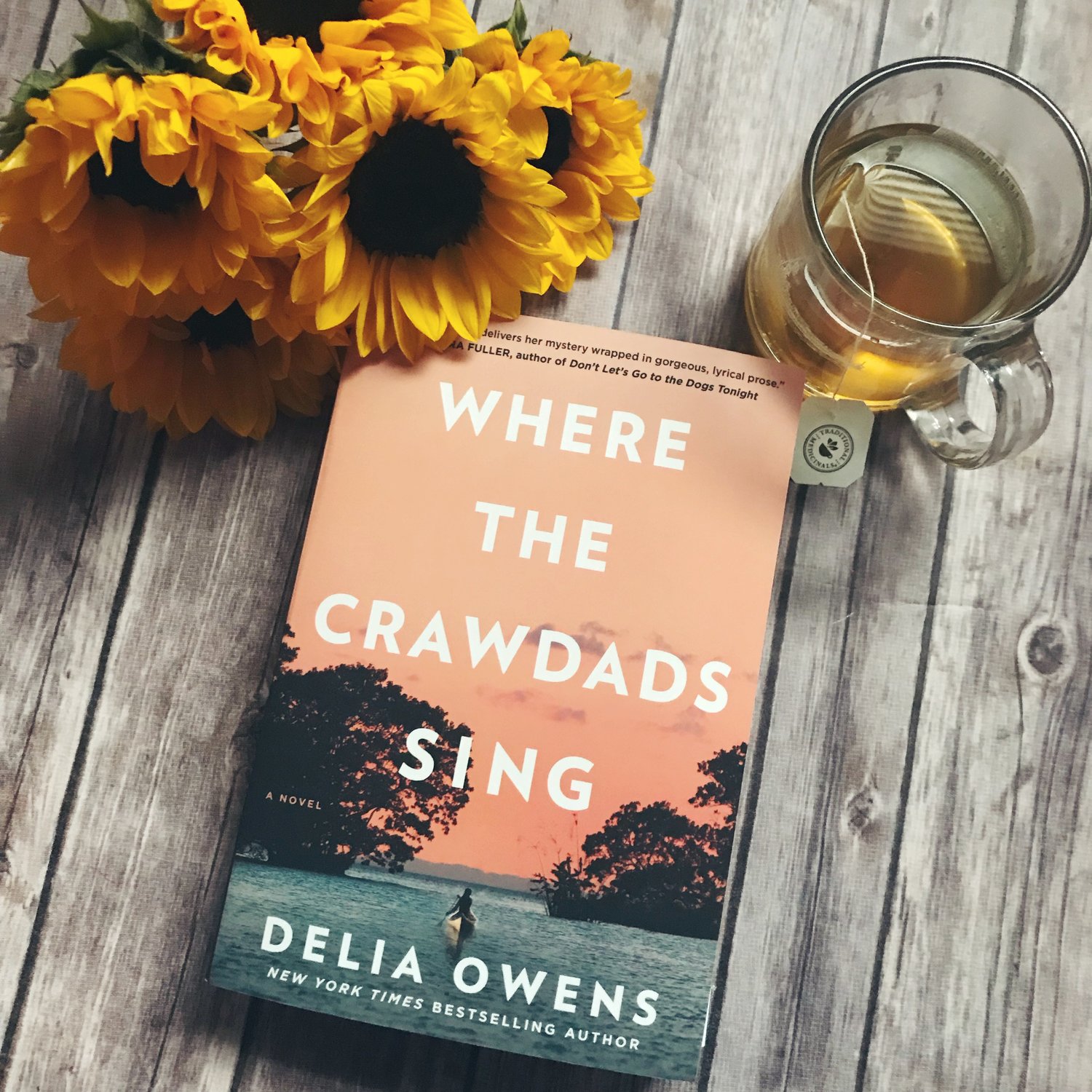 where the crawdads sing